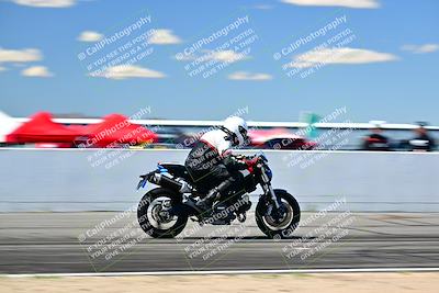 media/Mar-25-2024-Moto Forza (Mon) [[8d4319bd68]]/4-Novice Group/Session 4 Front Straight Speed Pans/